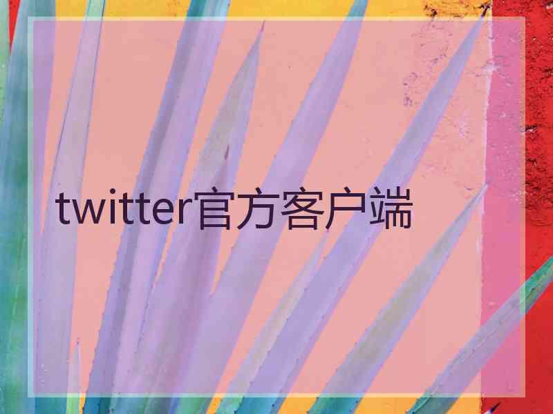 twitter官方客户端