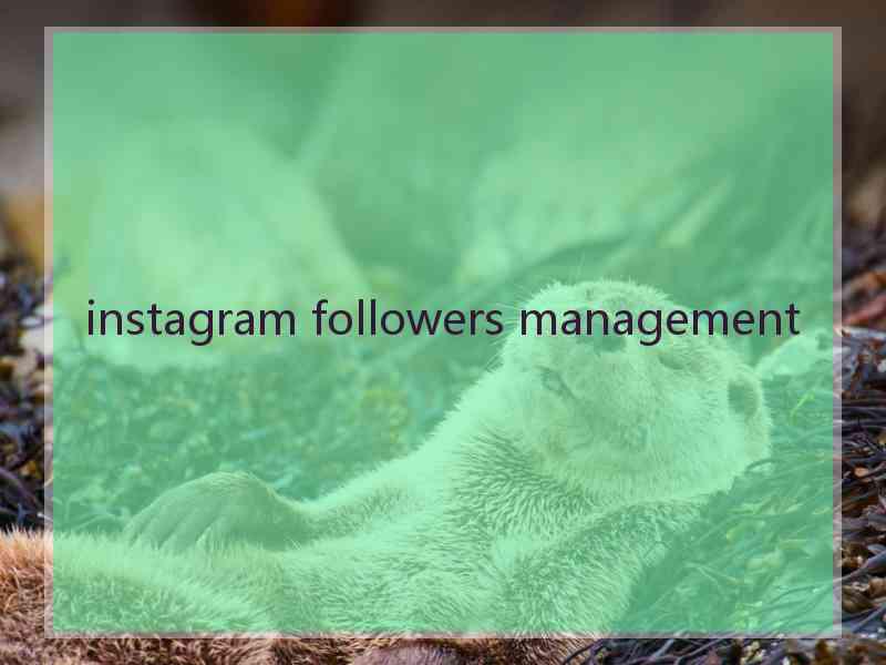 instagram followers management