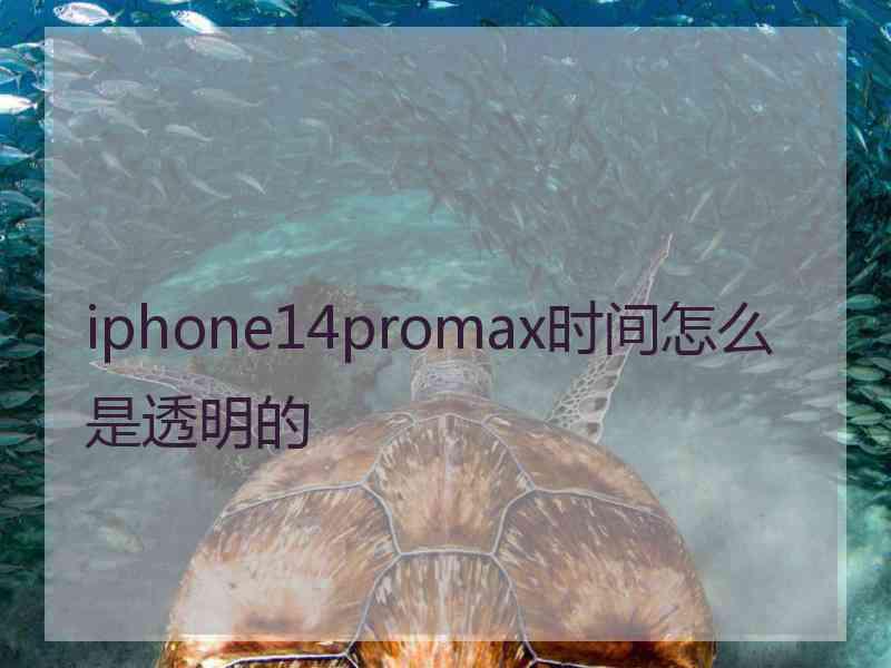 iphone14promax时间怎么是透明的