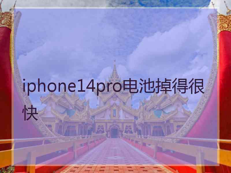 iphone14pro电池掉得很快