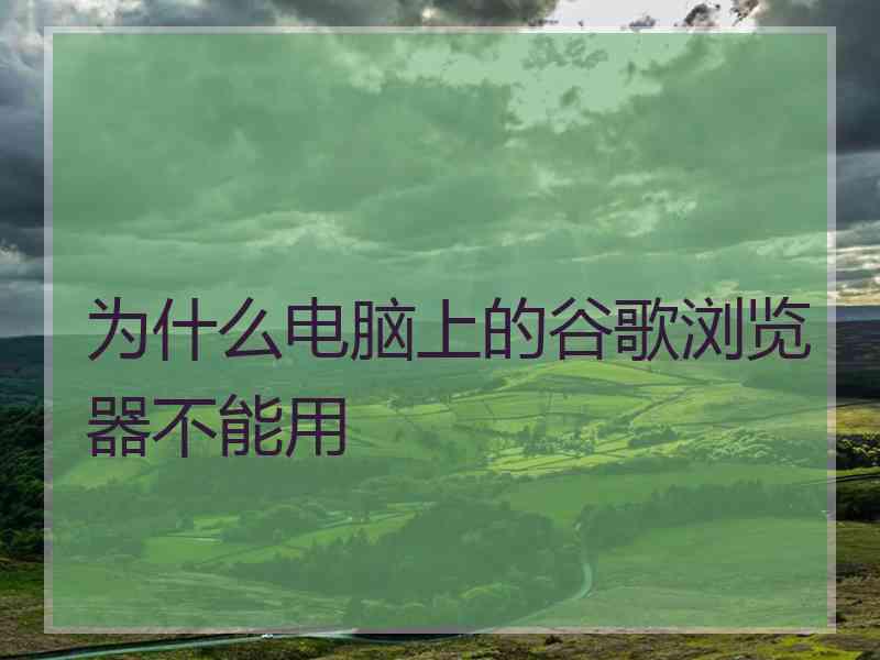 为什么电脑上的谷歌浏览器不能用