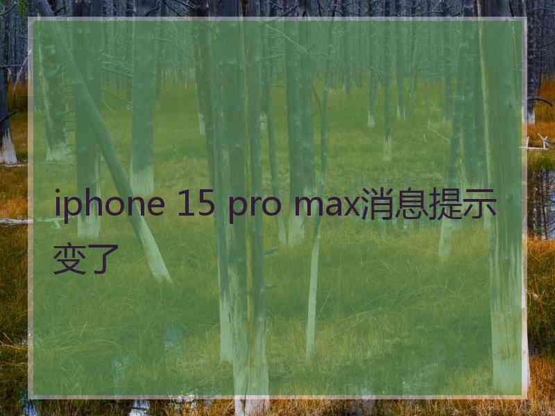 iphone 15 pro max消息提示变了