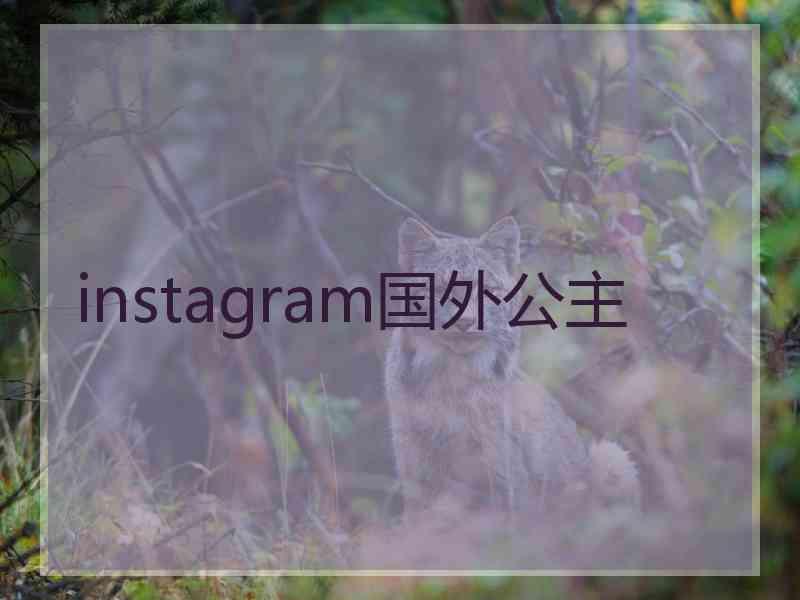 instagram国外公主