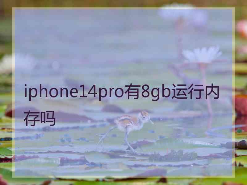 iphone14pro有8gb运行内存吗