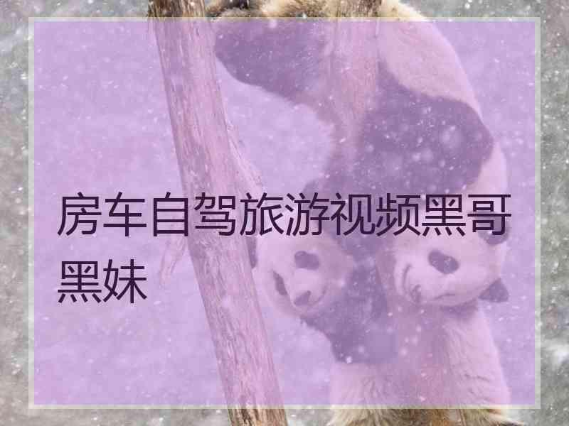 房车自驾旅游视频黑哥黑妹