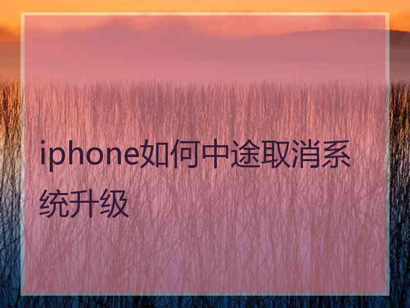 iphone如何中途取消系统升级