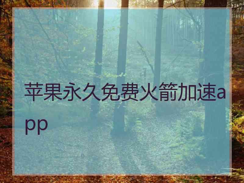 苹果永久免费火箭加速app