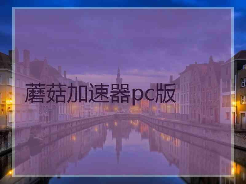 蘑菇加速器pc版