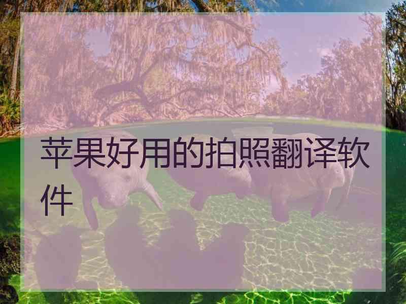 苹果好用的拍照翻译软件