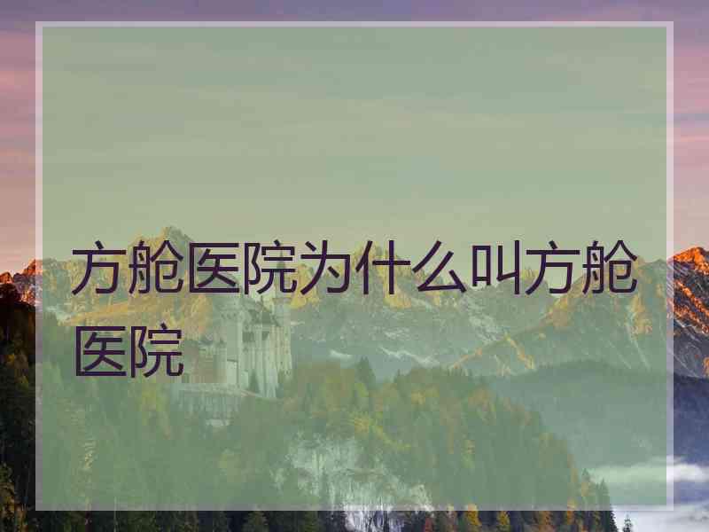 方舱医院为什么叫方舱医院