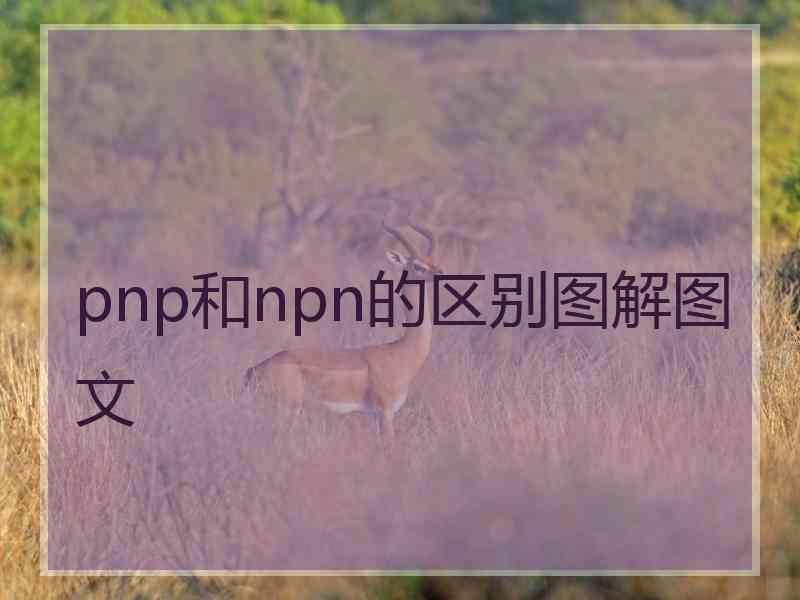 pnp和npn的区别图解图文