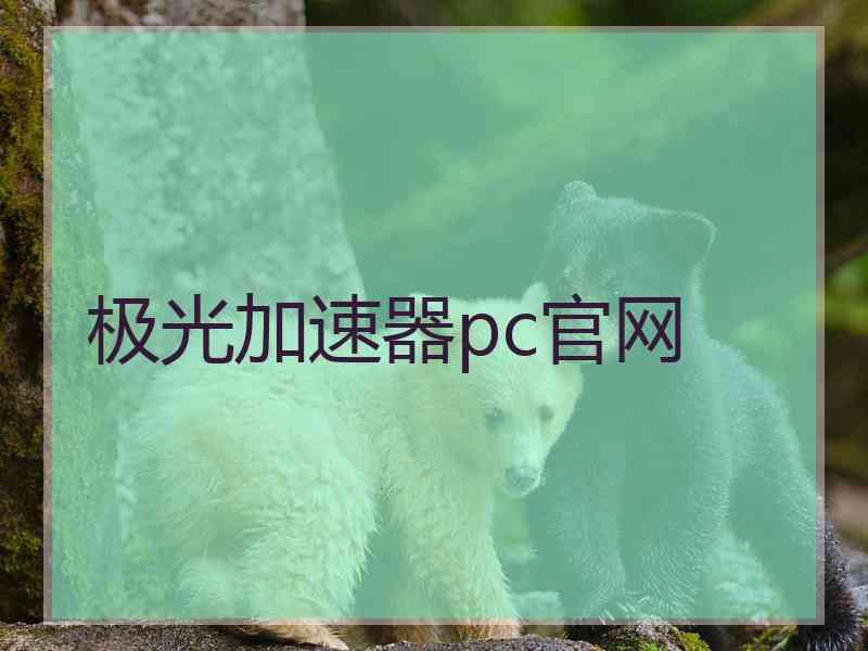 极光加速器pc官网