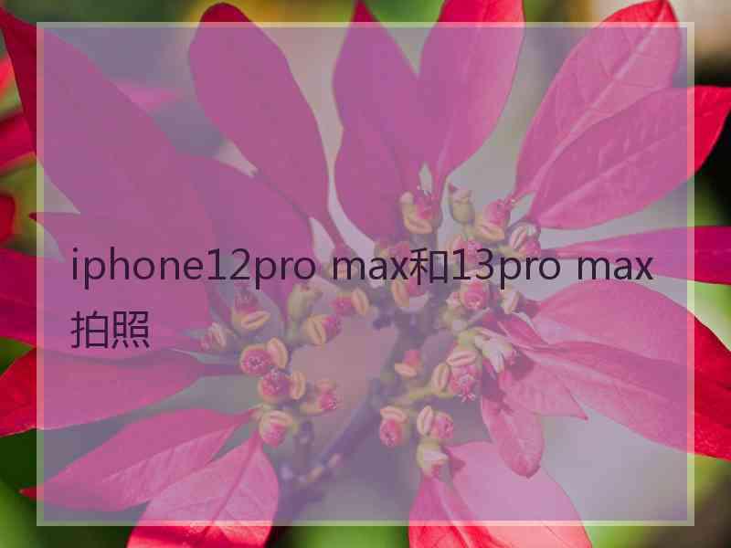 iphone12pro max和13pro max拍照