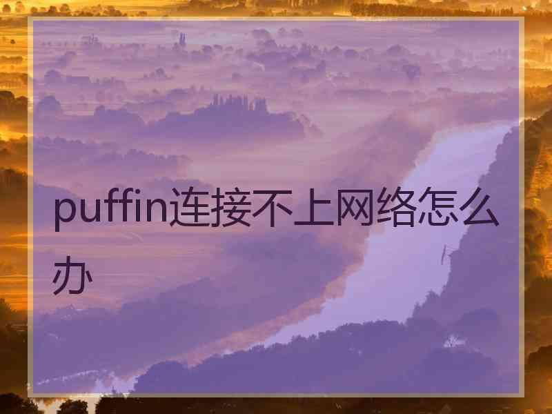 puffin连接不上网络怎么办