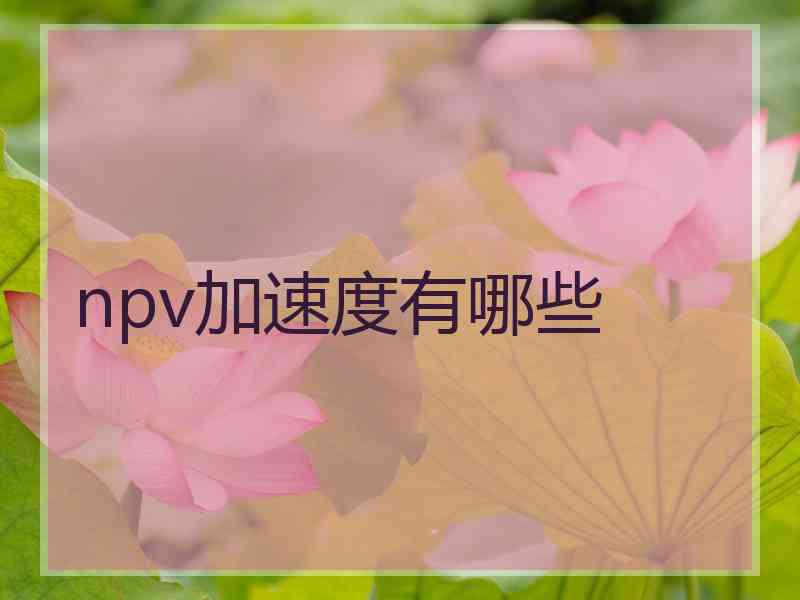 npv加速度有哪些