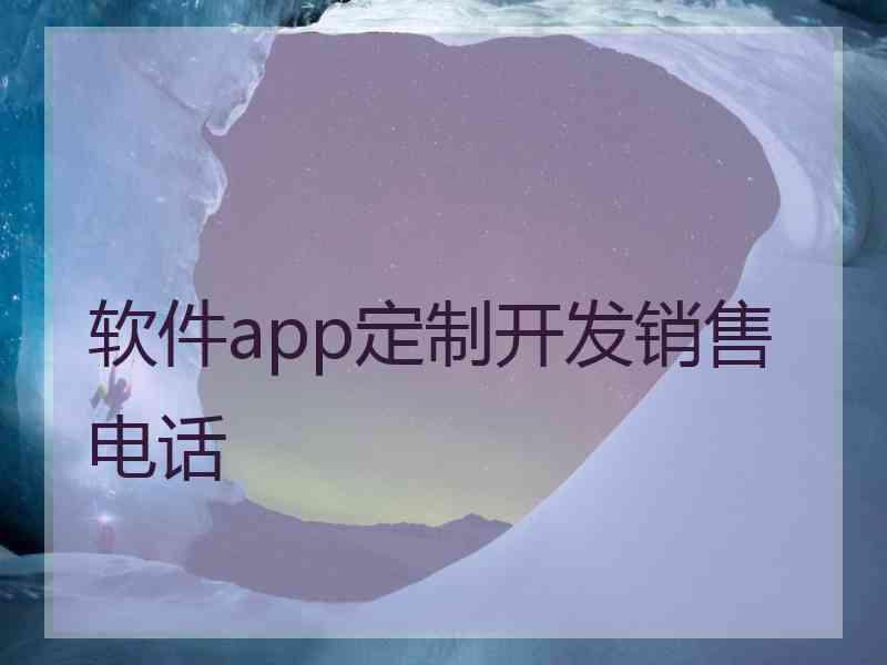 软件app定制开发销售电话