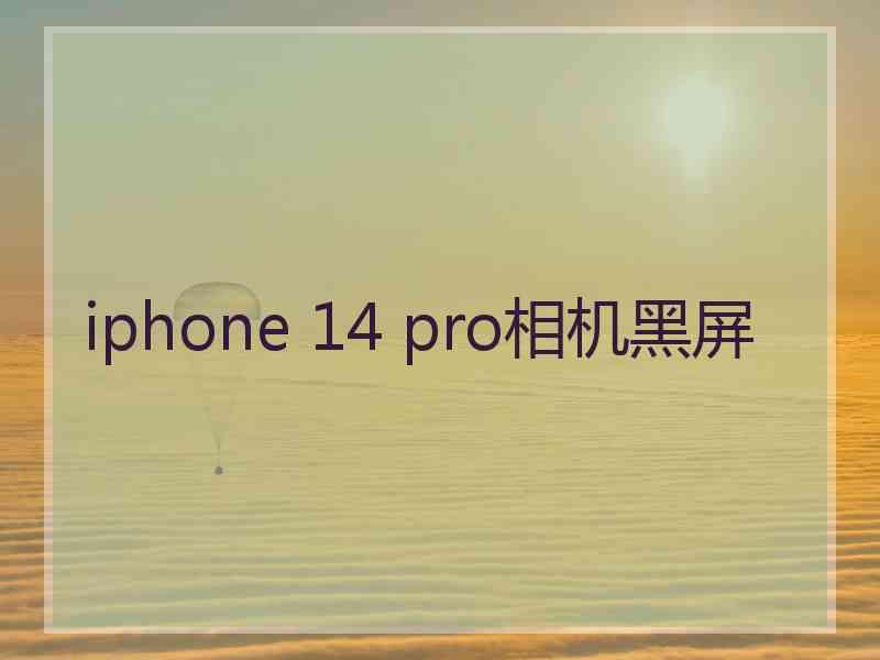 iphone 14 pro相机黑屏