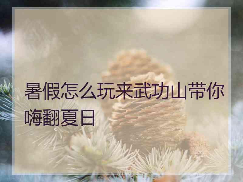 暑假怎么玩来武功山带你嗨翻夏日