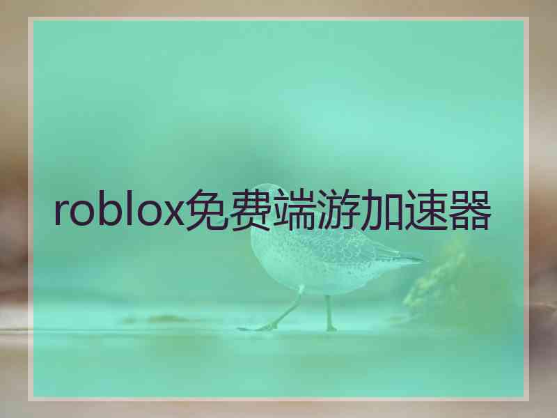 roblox免费端游加速器