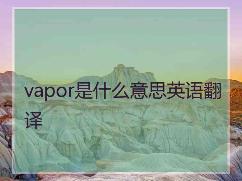 vapor是什么意思英语翻译