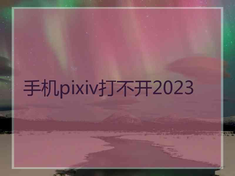 手机pixiv打不开2023