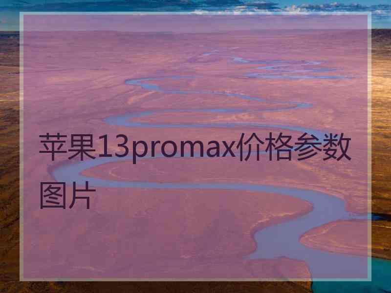 苹果13promax价格参数图片