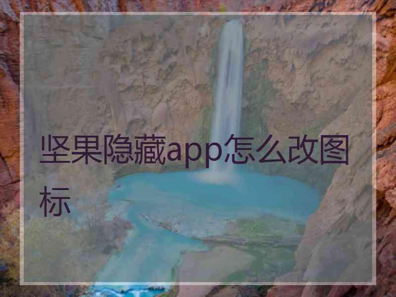 坚果隐藏app怎么改图标