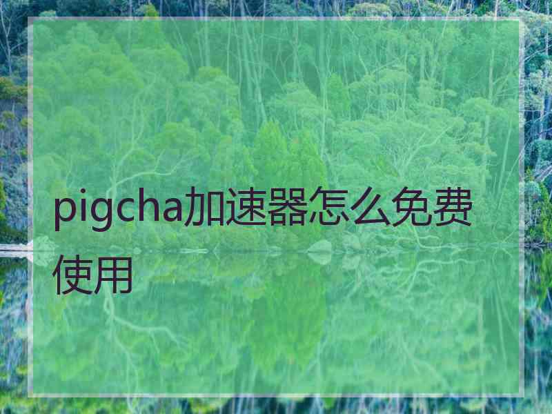 pigcha加速器怎么免费使用