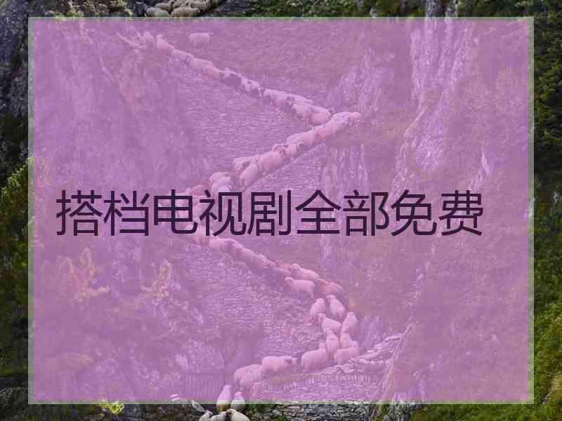 搭档电视剧全部免费