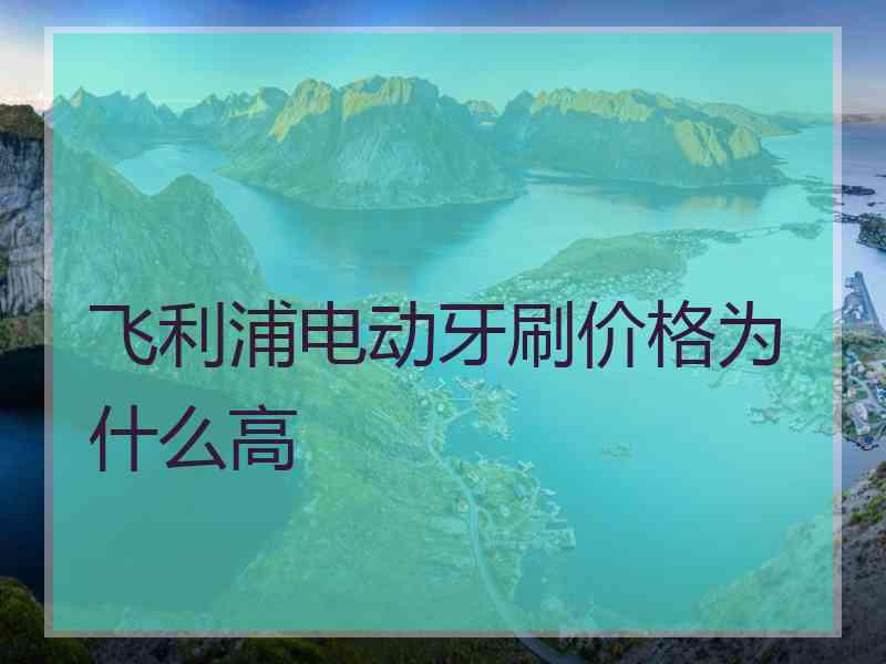 飞利浦电动牙刷价格为什么高