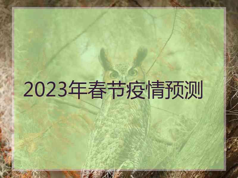 2023年春节疫情预测