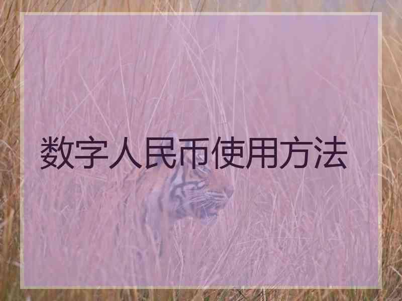 数字人民币使用方法