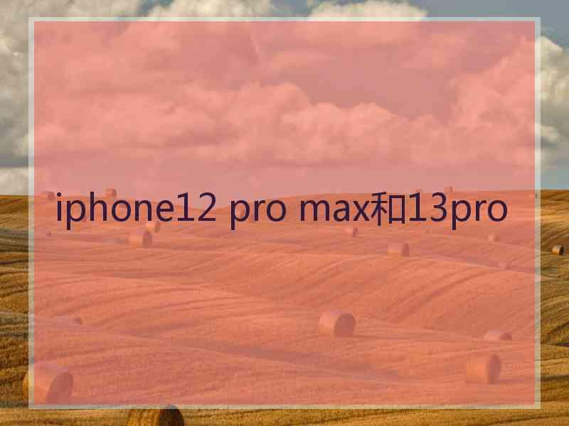 iphone12 pro max和13pro