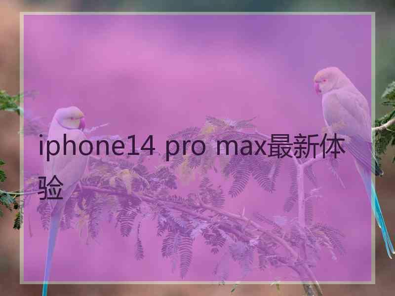 iphone14 pro max最新体验