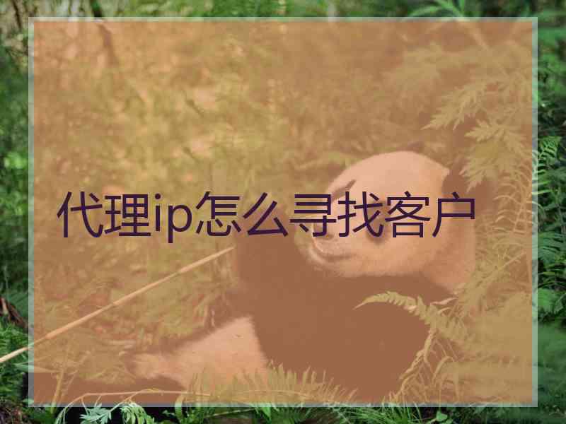 代理ip怎么寻找客户