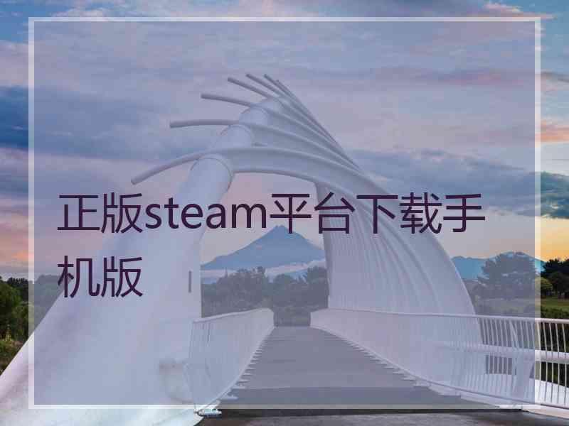 正版steam平台下载手机版