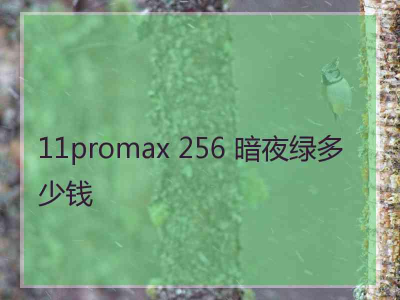 11promax 256 暗夜绿多少钱