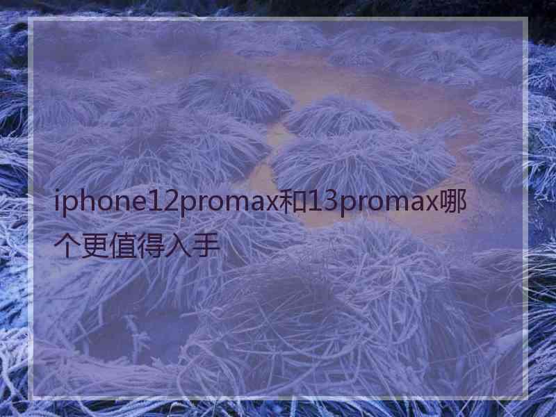 iphone12promax和13promax哪个更值得入手