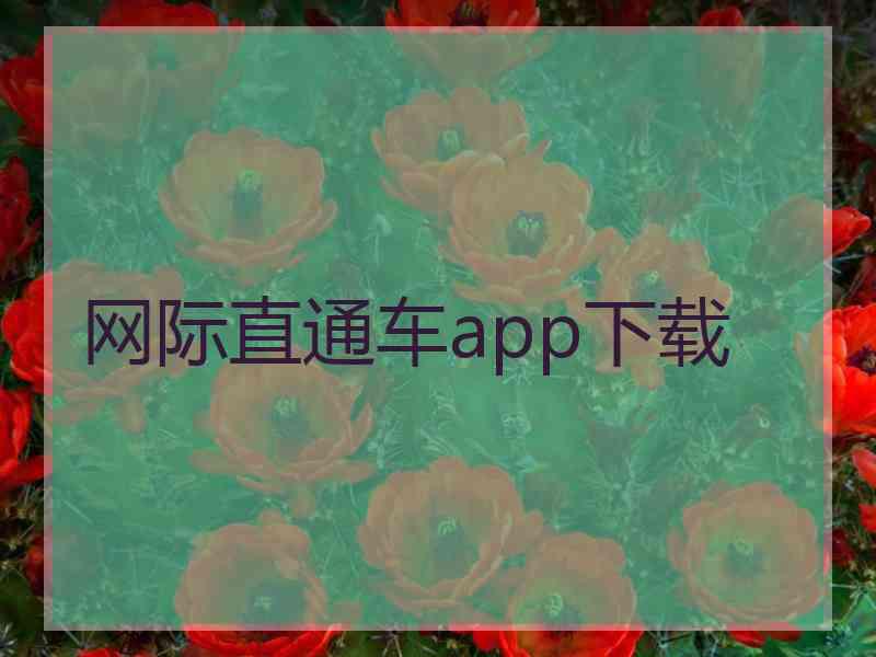 网际直通车app下载