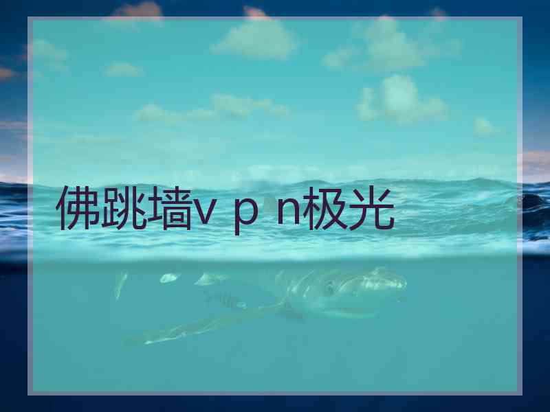 佛跳墙v p n极光