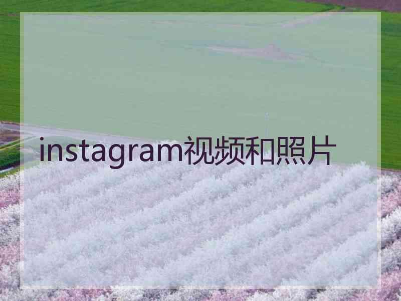 instagram视频和照片