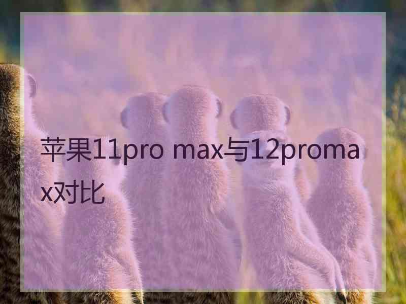 苹果11pro max与12promax对比