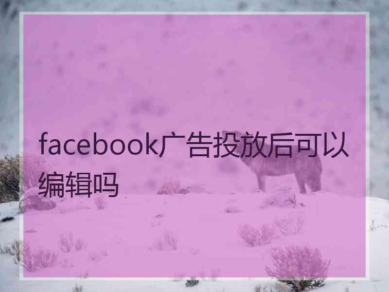 facebook广告投放后可以编辑吗