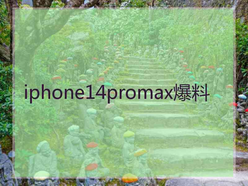 iphone14promax爆料