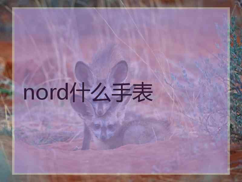 nord什么手表