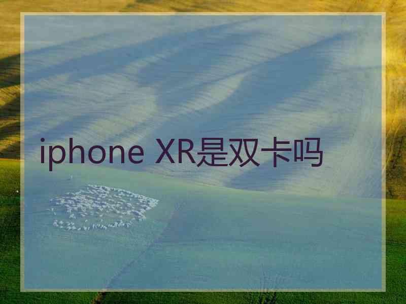 iphone XR是双卡吗