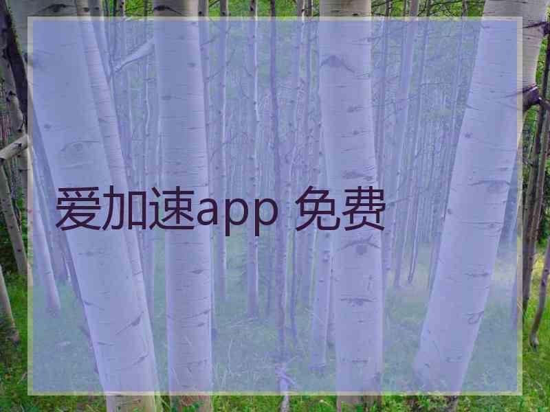 爱加速app 免费