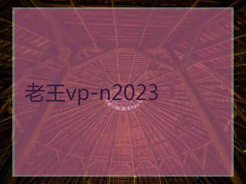 老王vp-n2023