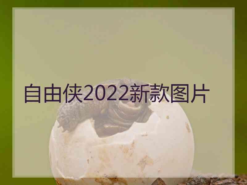 自由侠2022新款图片