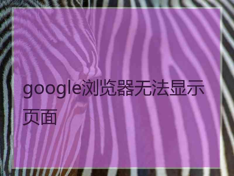 google浏览器无法显示页面